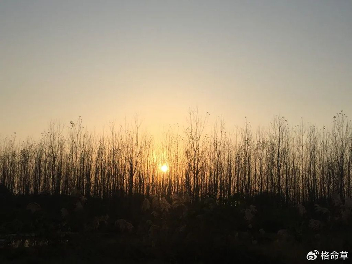 感动和你的血液一起流动于荒郊,打着灯笼给你光在梦里,心空飞过青年