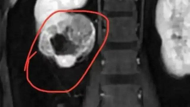 捏捏乐塌方了，超轻粘土呢？一大半「硼」超欧盟标准！