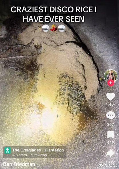 坏了！这回真要和美国人拼意志品质，枪那么多美国人为什么不反抗