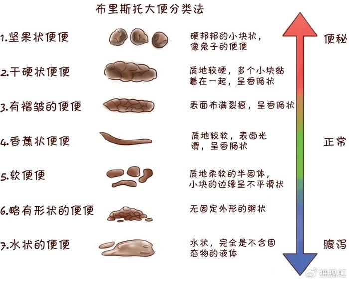 拉肚子原因图片