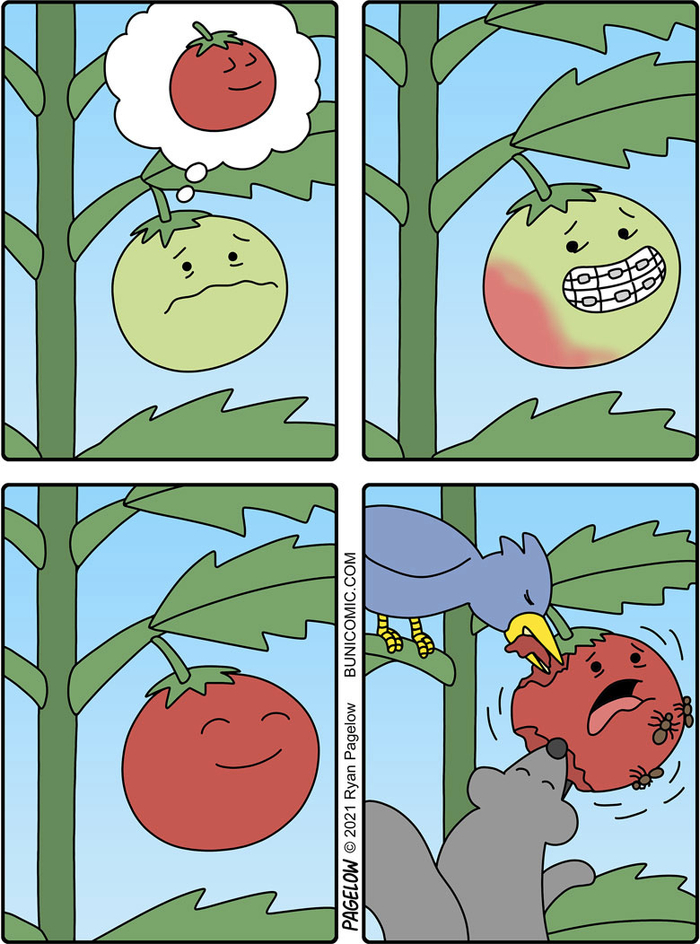 20幅看似搞笑的多格漫画,让人笑着笑着,就笑不出来了|多格|布尼|漫画