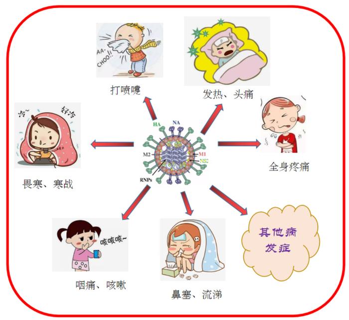 呼吸道疾病有哪些图片