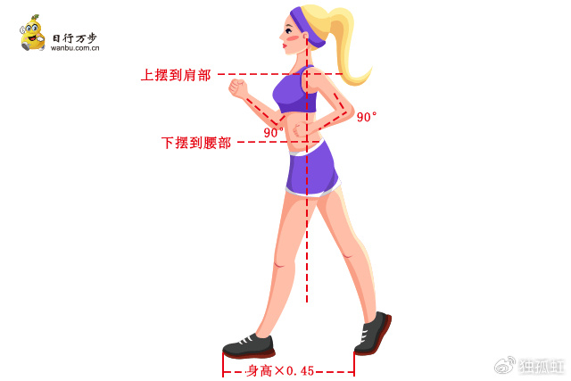 健走"九守则",告诉你怎样将健走坚持到底|健走|守则|姿势_新浪新闻