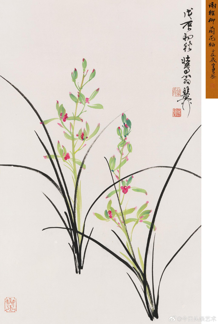 画家谢稚柳笔下的兰花