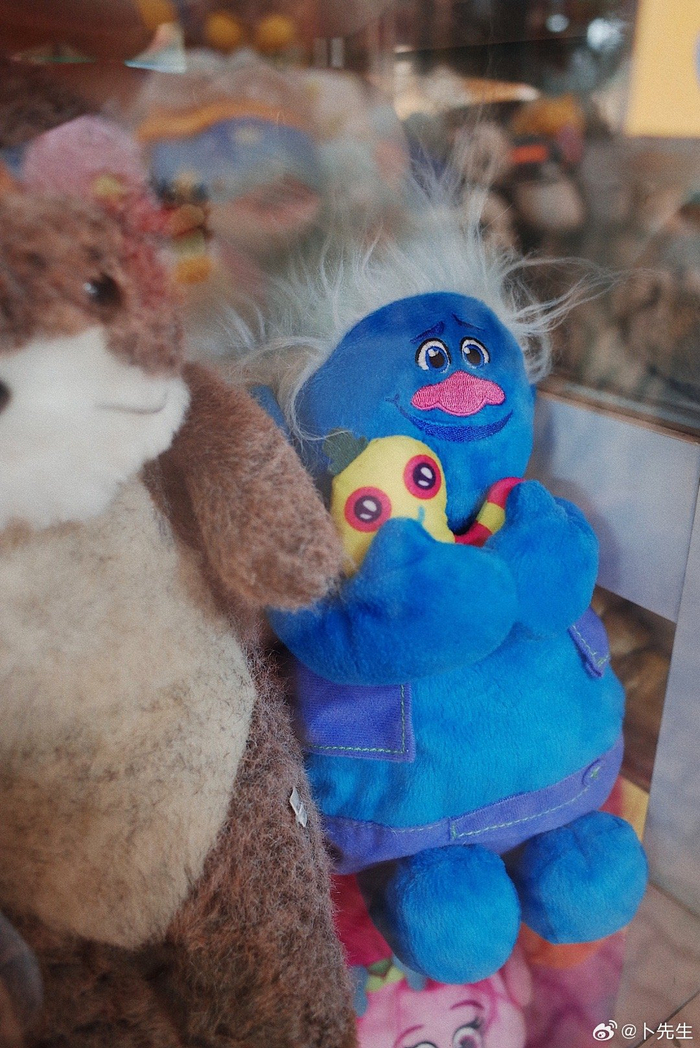 逛逛泰兰德布偶市场