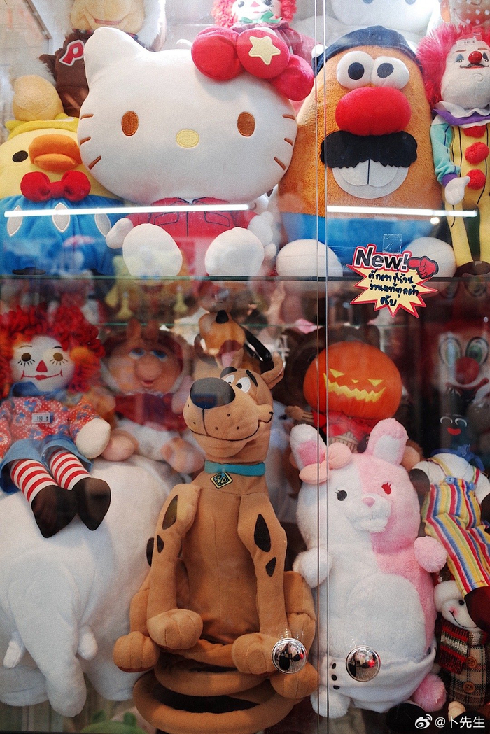 逛逛泰兰德布偶市场