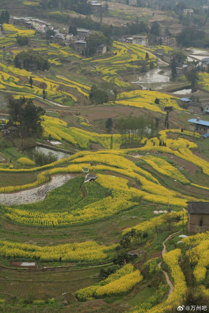 在太安上坝马家湾李家寨姜家坪