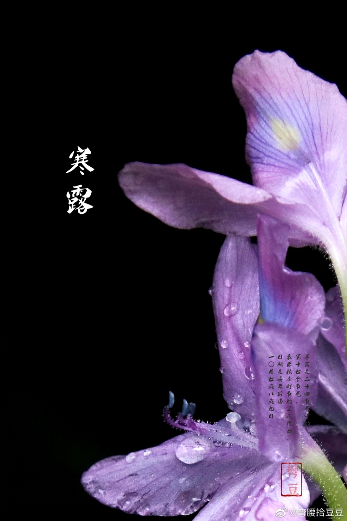 浅析李煜的《相见欢·林花谢了春红》
