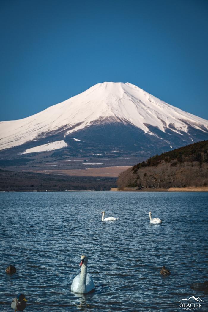 富士山合辑二