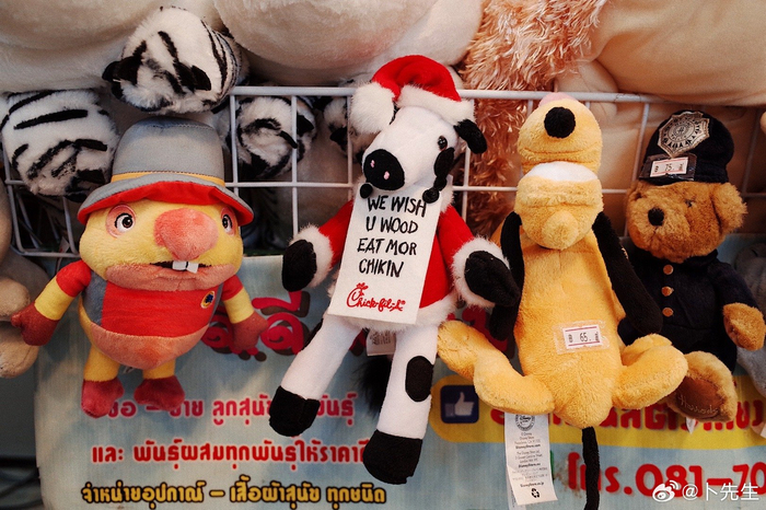 逛逛泰兰德布偶市场