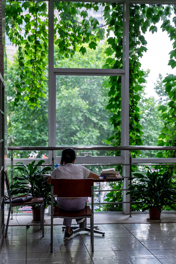 南京图书馆治愈的夏天