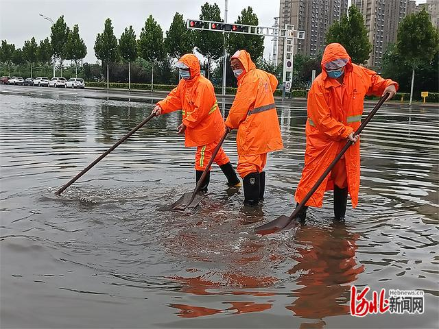 南和区,任泽区有6个站点降水量超过250毫米
