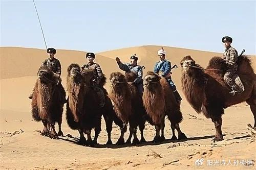 从清朝奏折里看到的驼事