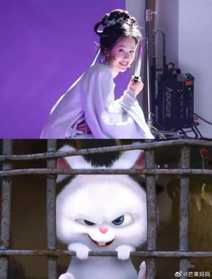 怎么这么萌啊!邪恶兔兔大王陈都灵is watching you