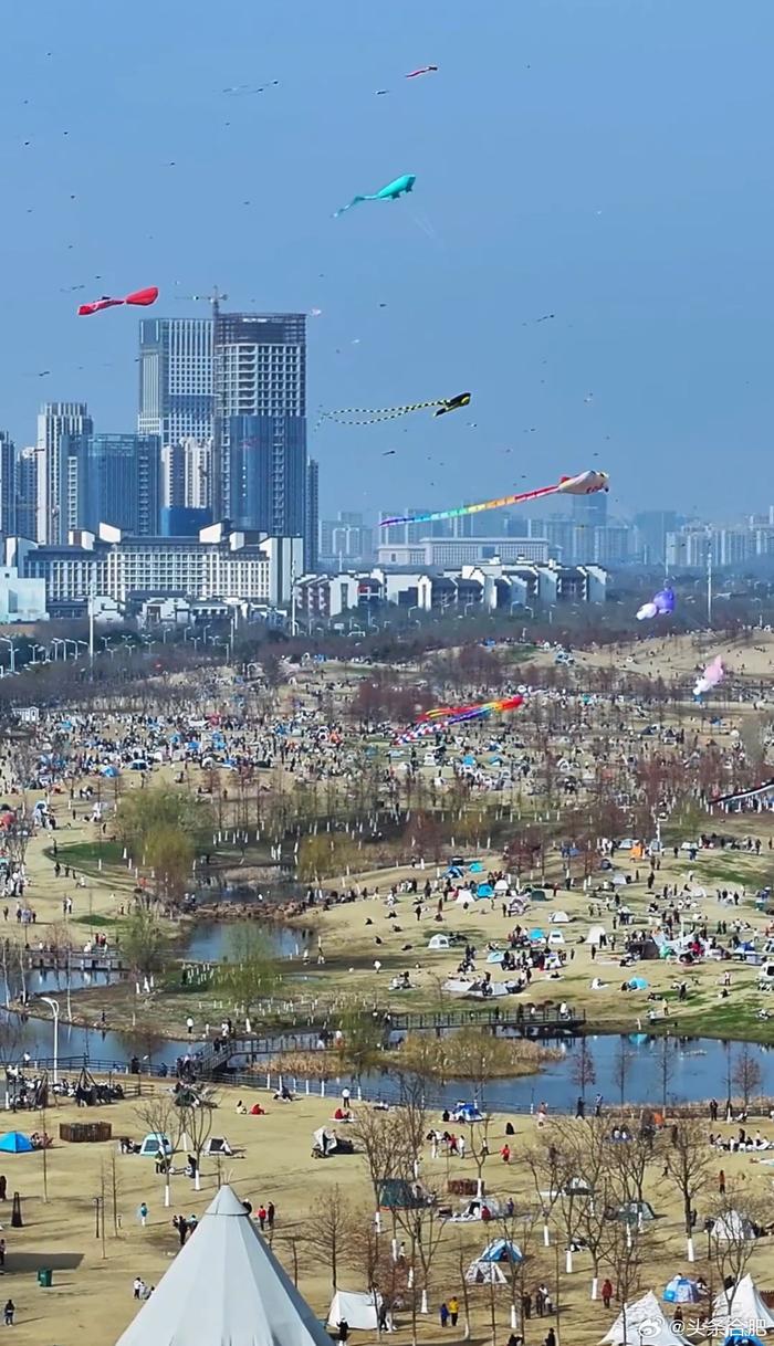 合肥滨湖岸上草原图片