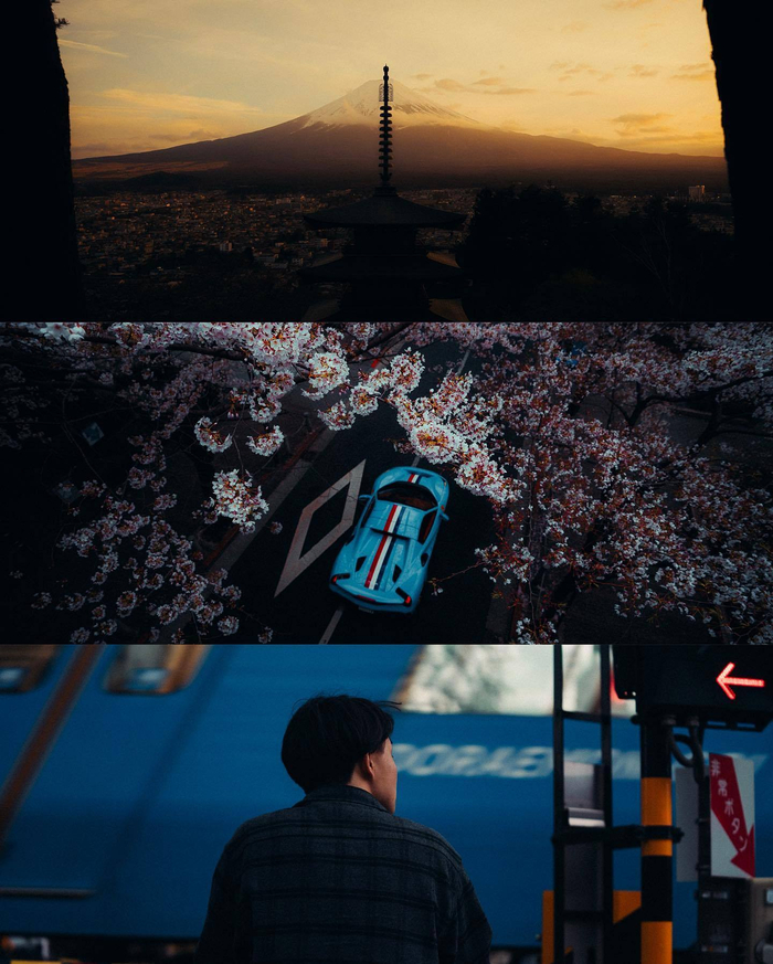 樱花盛开的春天摄影师luke