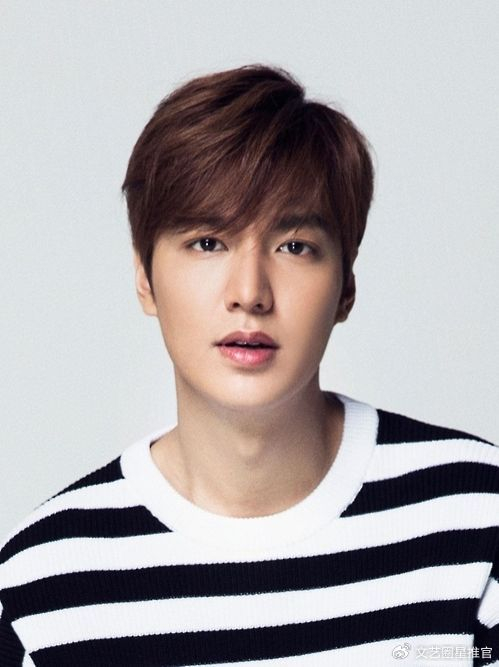 他凭借《花样男子》,《城市猎人》,《继承者们》等影视剧作品,不断