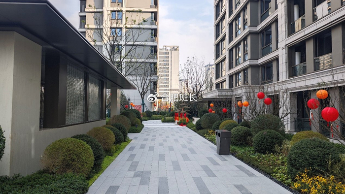 红盘再交付,实探政务东板块的滨河湾C地块和D地块!__财经头条__新浪财经