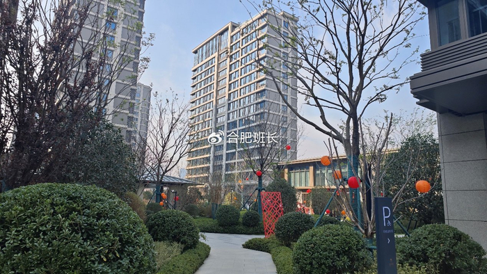红盘再交付,实探政务东板块的滨河湾C地块和D地块!__财经头条__新浪财经
