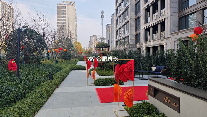 红盘再交付,实探政务东板块的滨河湾C地块和D地块!__财经头条__新浪财经