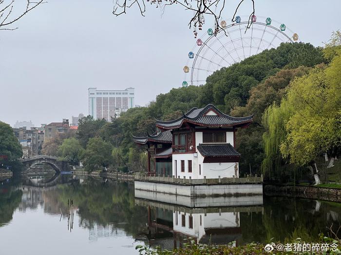 南昌人民公园图片