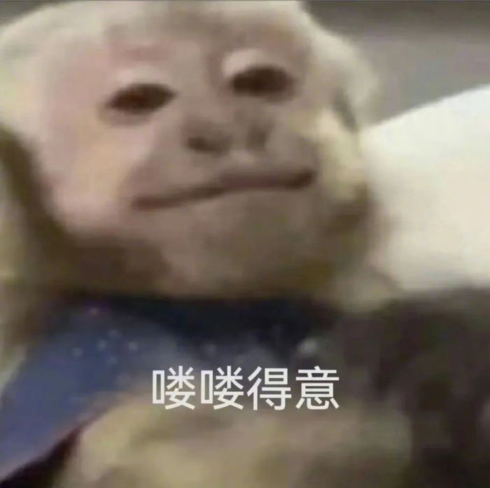 巨好玩的吗喽表情包:喽喽得意 拿图请顺便吱一声 很难有动力发图了