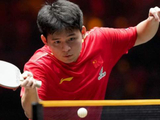 2026年WTT多哈球星挑战赛即将来袭，林诗栋或再战张本迎复仇良机