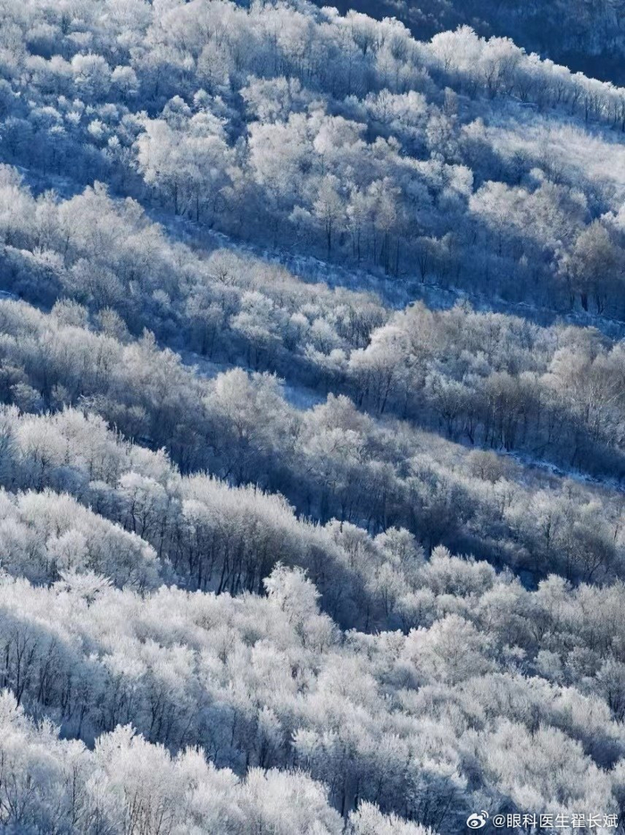 这就是北国风光千里冰封万里雪飘吧