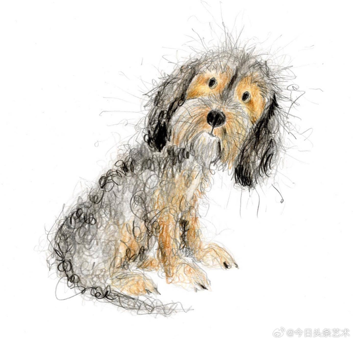 画家catherinerayner笔下潦草的狗子