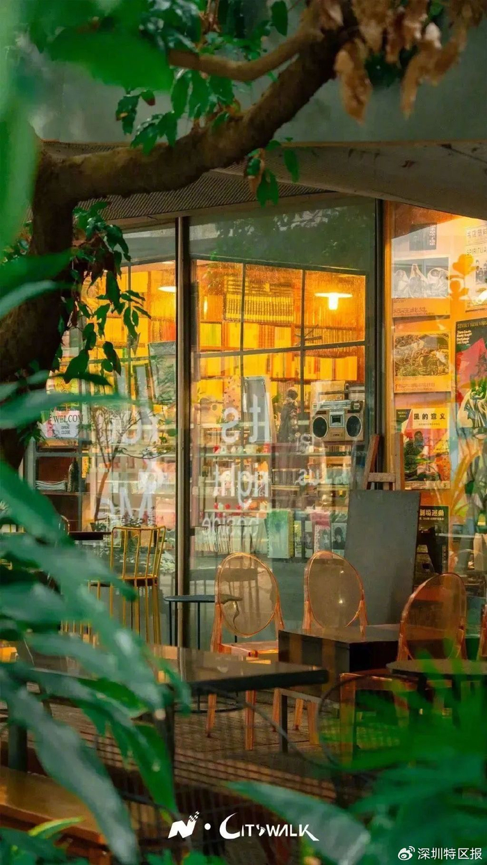 飞阅深圳各区联播丨走避开人群这里有南山最惬意的浪漫