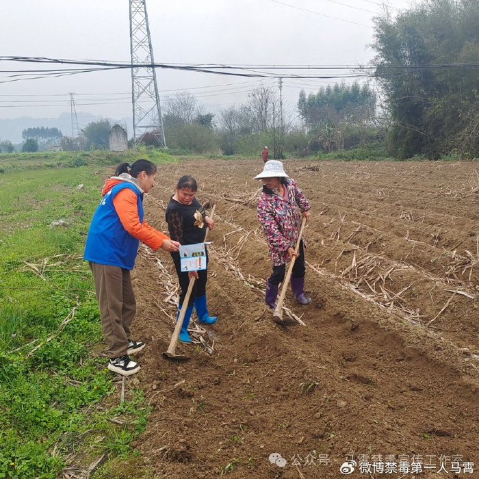 河池市罗城县黄金镇又是春耕好时节禁毒宣传在田间