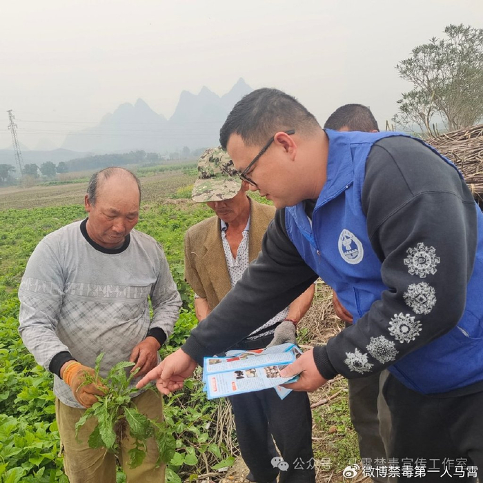 河池市罗城县黄金镇又是春耕好时节禁毒宣传在田间