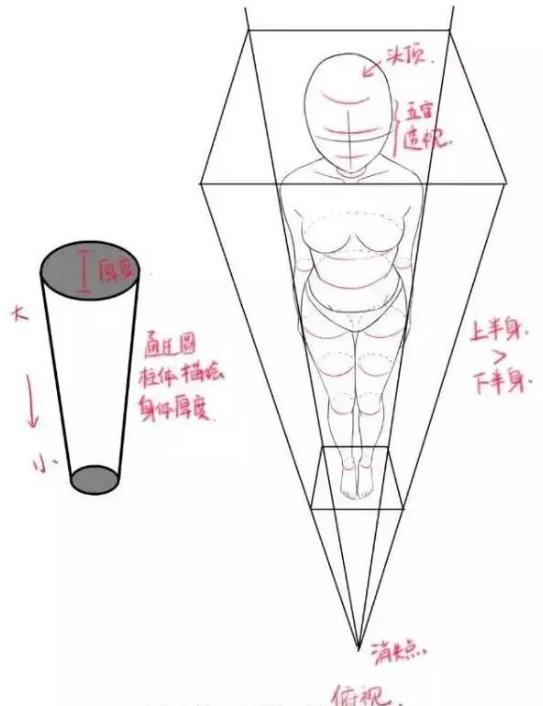 人体明暗交界线图片