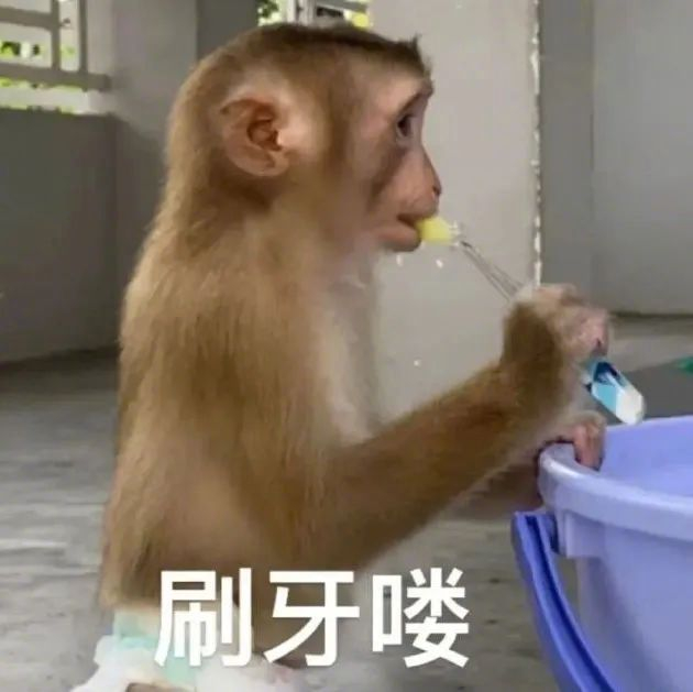 巨好玩的吗喽表情包:喽喽得意 拿图请顺便吱一声 很难有动力发图了