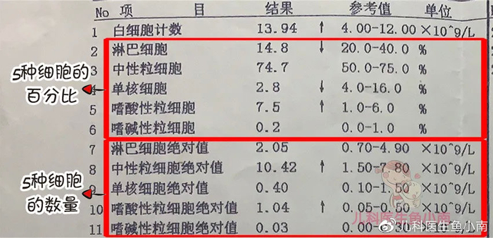 看血常规像看天书?知道这几个指标意味着什么,就够啦