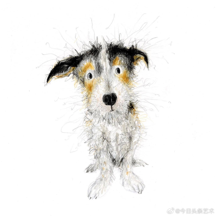 画家catherine rayner笔下潦草的狗子__财经头条