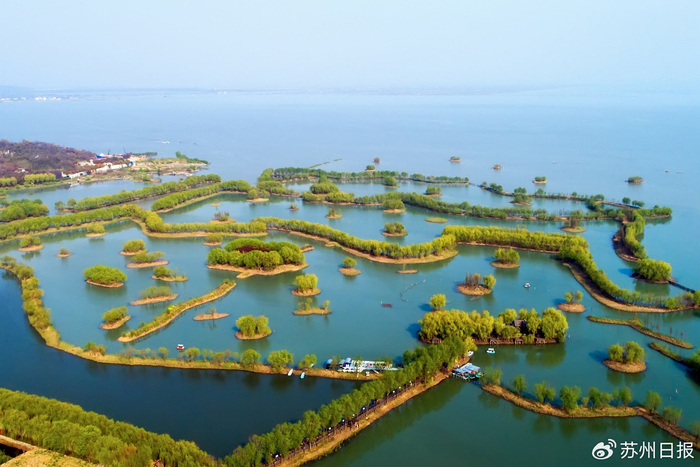 太湖三山岛环岛湿地生态修复案例获评省十佳