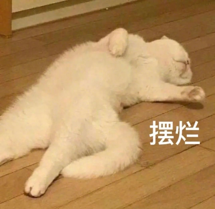聊天斗图表情包 拿图请顺便吱一声~ 很难有动力发图了 更多表情包请来