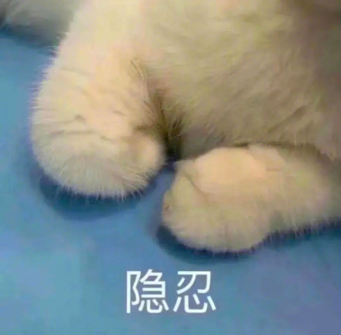 精选表情包小猫咪觉得很赞拿图点赞吱声