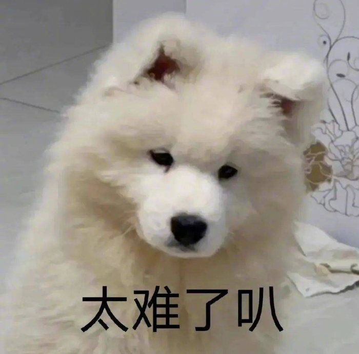 精选表情包小猫咪觉得很赞拿图点赞吱声