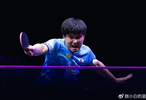 张本智和4-0大勒晋级！四强出炉日乒占据三席 松岛VS张本绝对优势