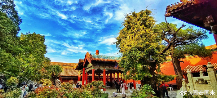 深秋的北京故宫御花园2023.11.7 摄影