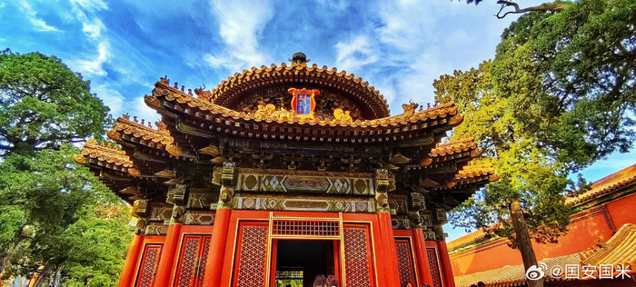 深秋的北京故宫御花园2023.11.7 摄影