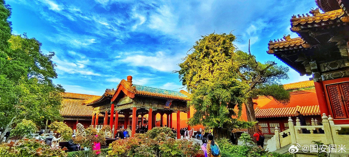 深秋的北京故宫御花园2023117摄影