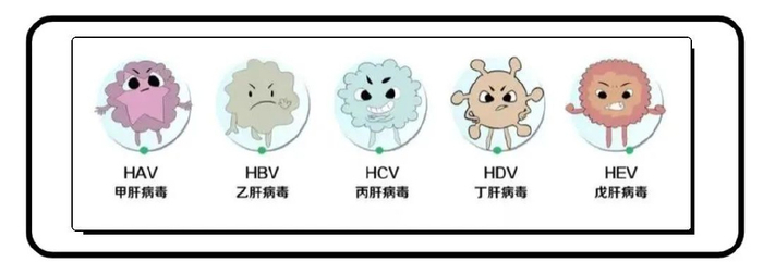 出现这些症状要小心→|肝炎|病毒性肝炎|肝脏_新浪新闻