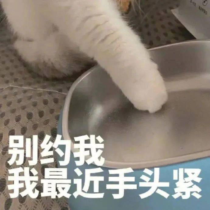 表情包 | 可以色色吗 拿图点赞,吱声__财经头条