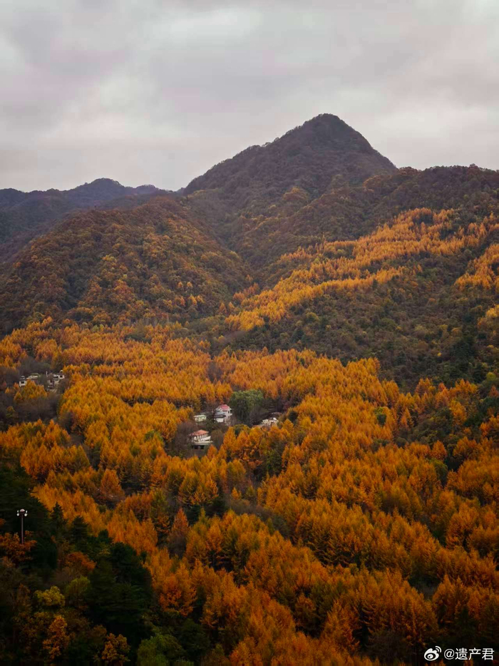 灾难报道:武汉mmk能开放到啥程度,2025年武汉mmk的开放范围及未来趋势解析