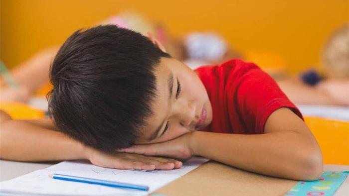 家有儿子的父母，教育路上，别再“硬碰硬”了