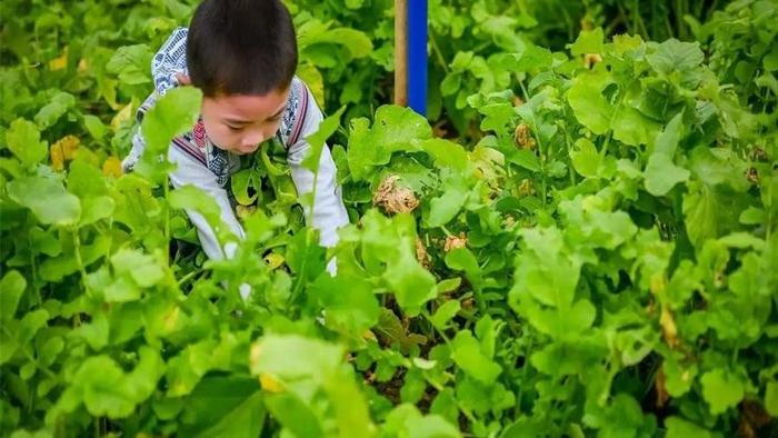 和学习比起来，孩子的心理健康，最为重要
