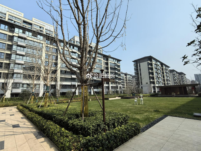一个8层洋房为主的低密住宅实探省府北的琥珀晴川里